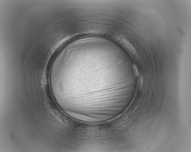 X0000115540628200911201740