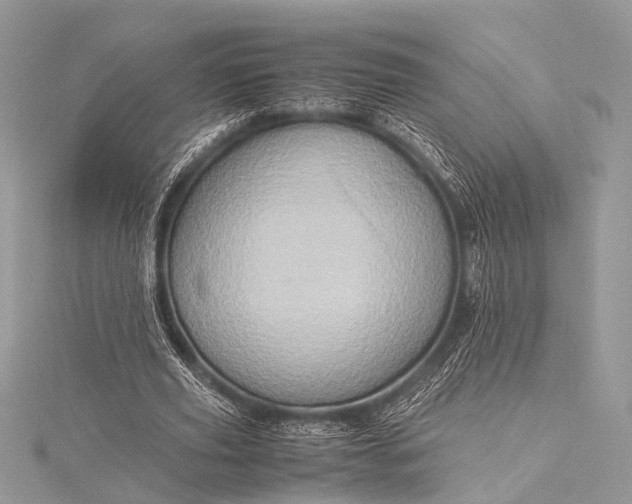 X0000115540629200911201740