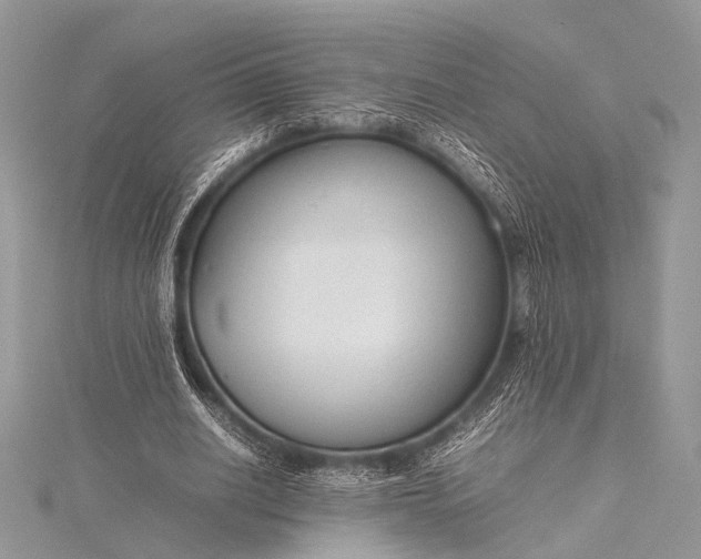 X0000115540630200911201740