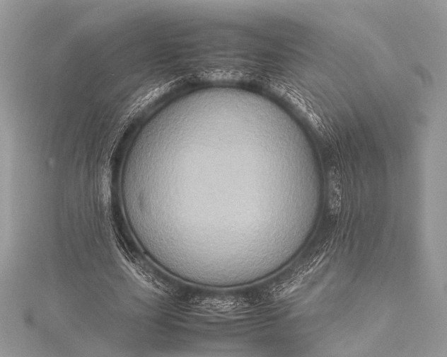 X0000115540631200911201740