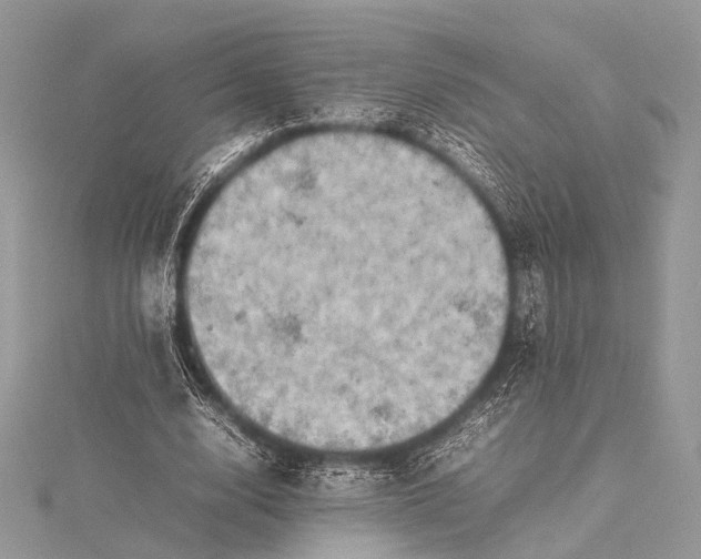 X0000115540632200911201740