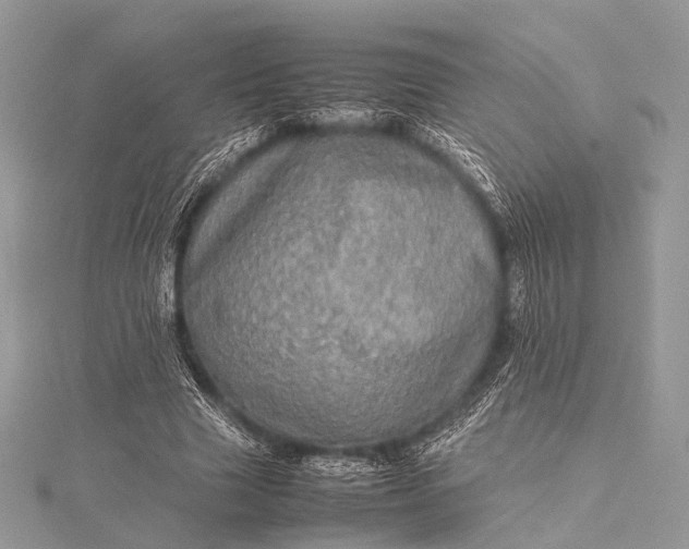 X0000115540633200911201740