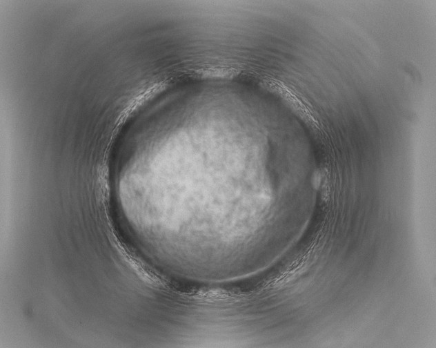 X0000115540634200911201740