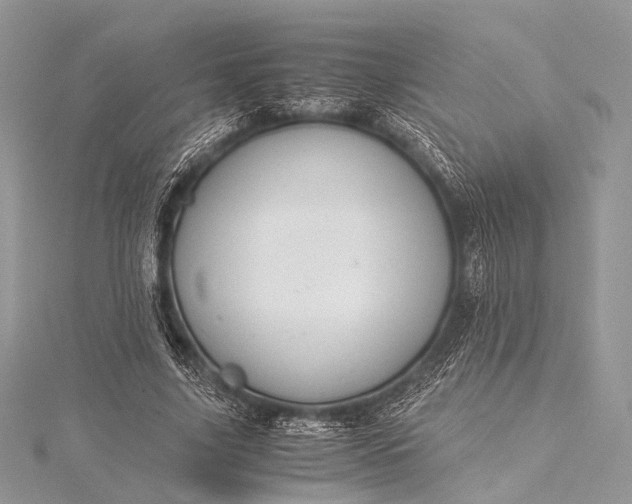 X0000115540635200911201740