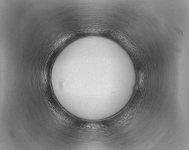 X0000115540636200911201740