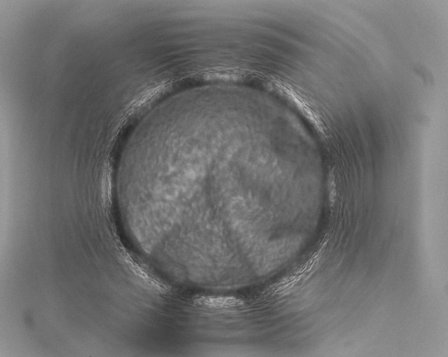 X0000115540637200911201740