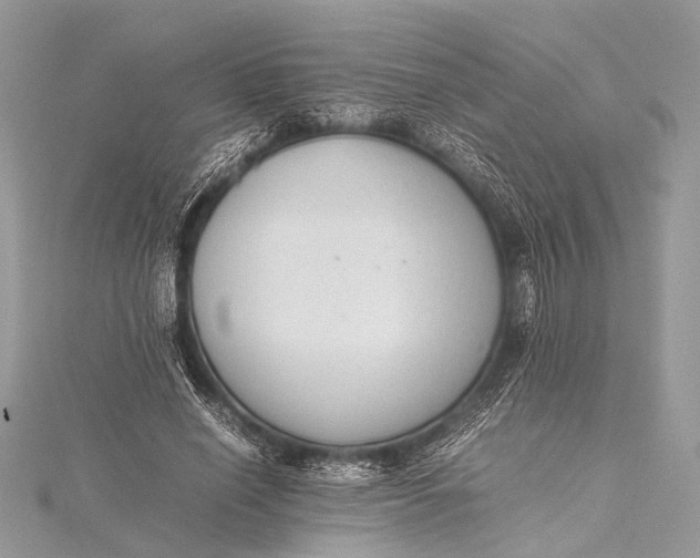 X0000115540638200911201740