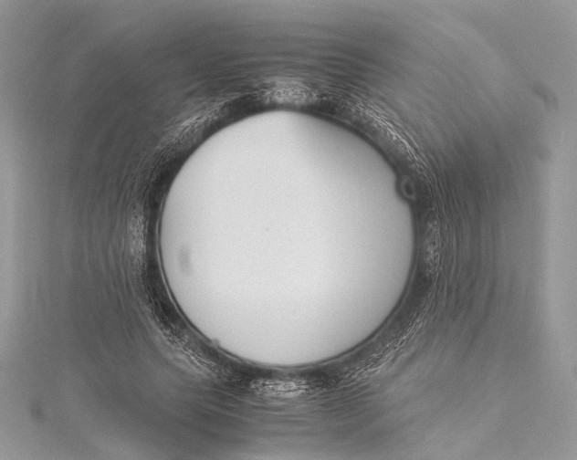 X0000115540639200911201740