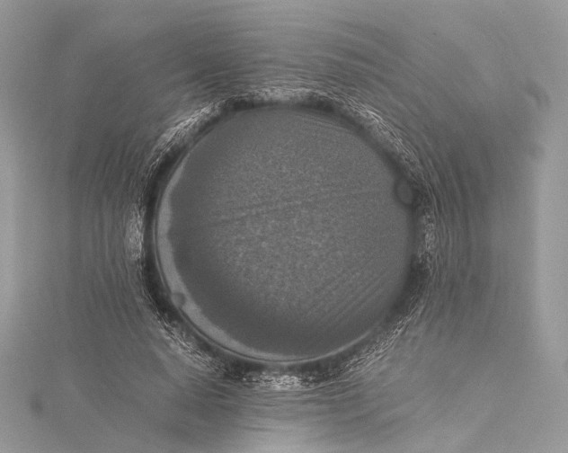 X0000115540640200911201740