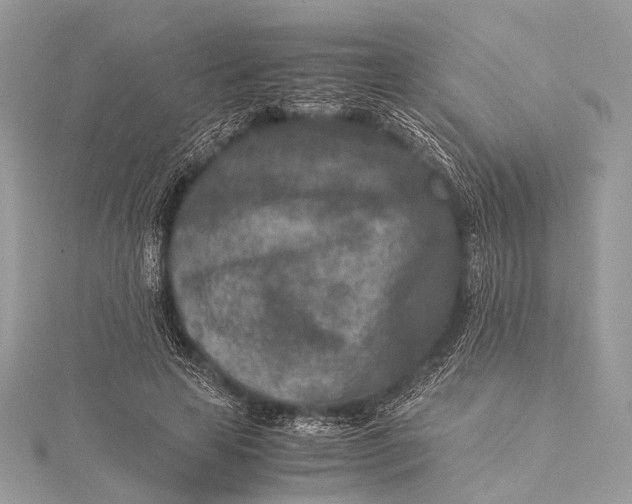 X0000115540641200911201740