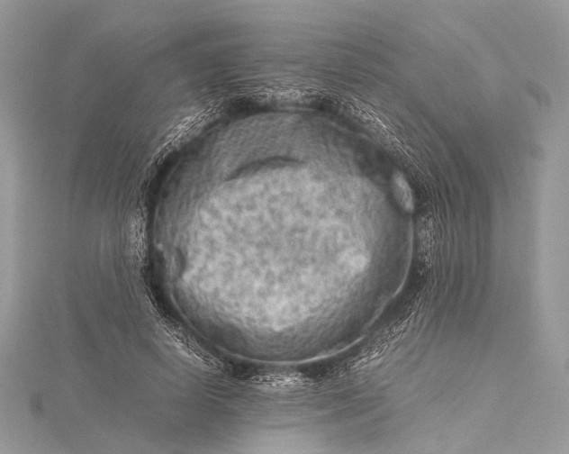 X0000115540642200911201740