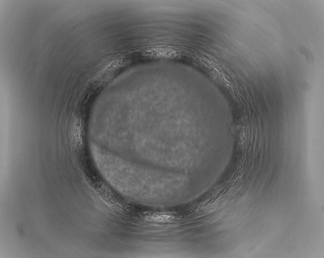 X0000115540643200911201740