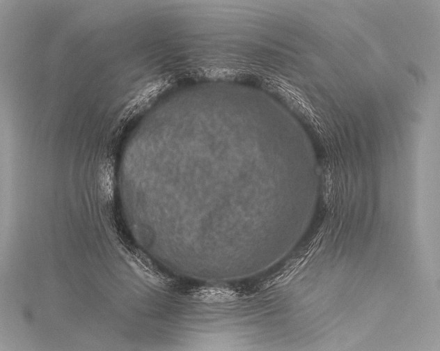 X0000115540644200911201740