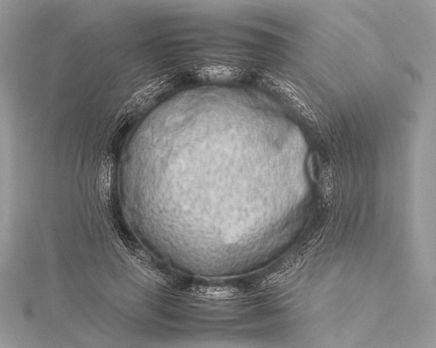 X0000115540645200911201740