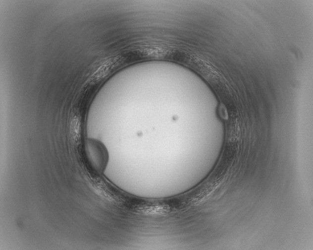 X0000115540646200911201740