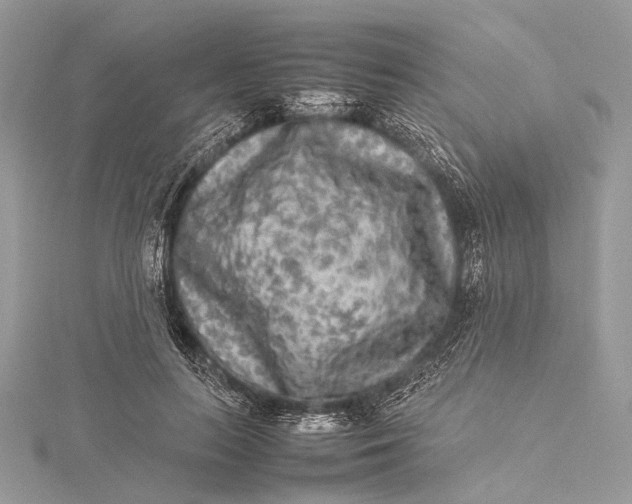 X0000115540647200911201740