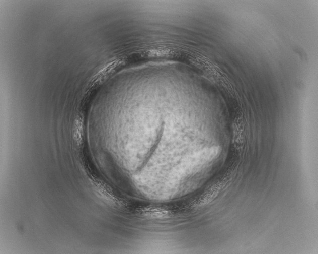 X0000115540648200911201740