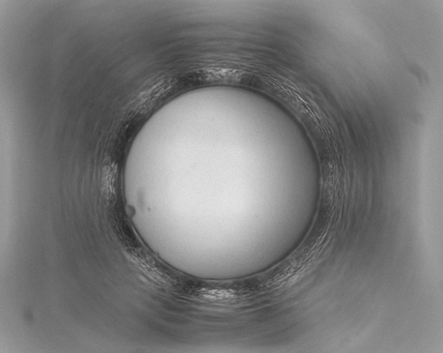 X0000115540649200911201740