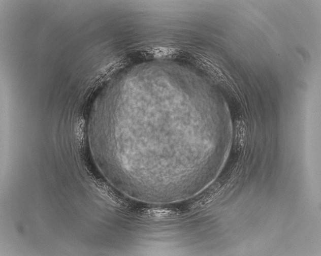 X0000115540650200911201740