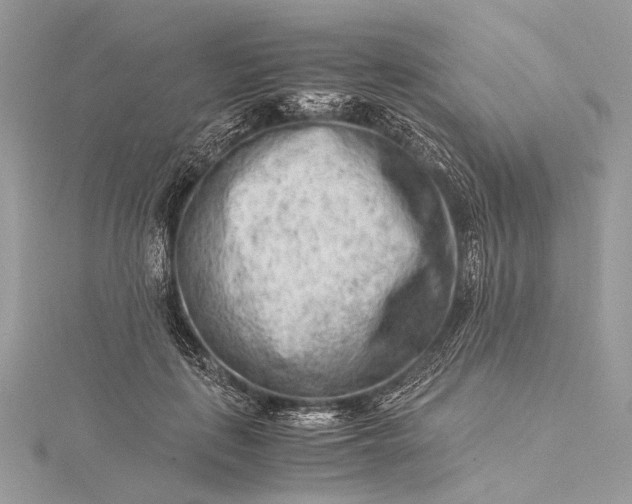 X0000115540651200911201740