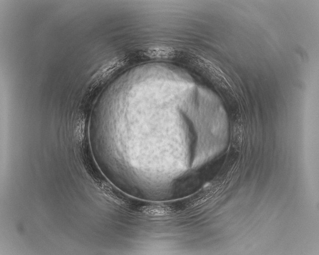 X0000115540652200911201740