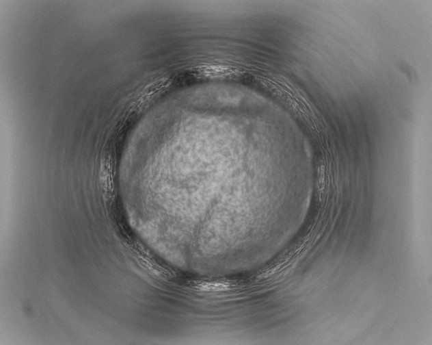 X0000115540653200911201740