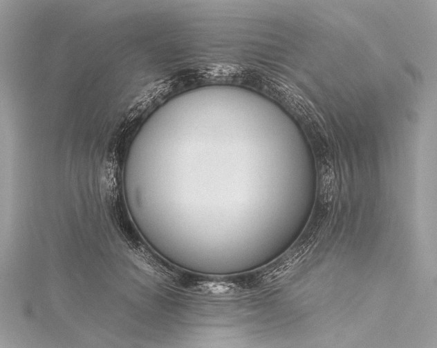 X0000115540654200911201740