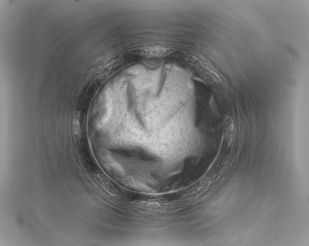 X0000115540655200911201740