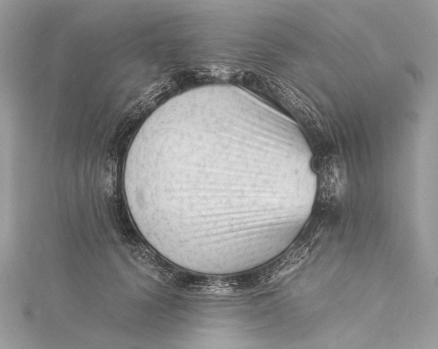 X0000115540656200911201740