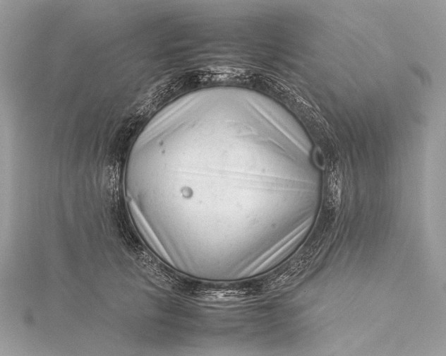 X0000115540657200911201740