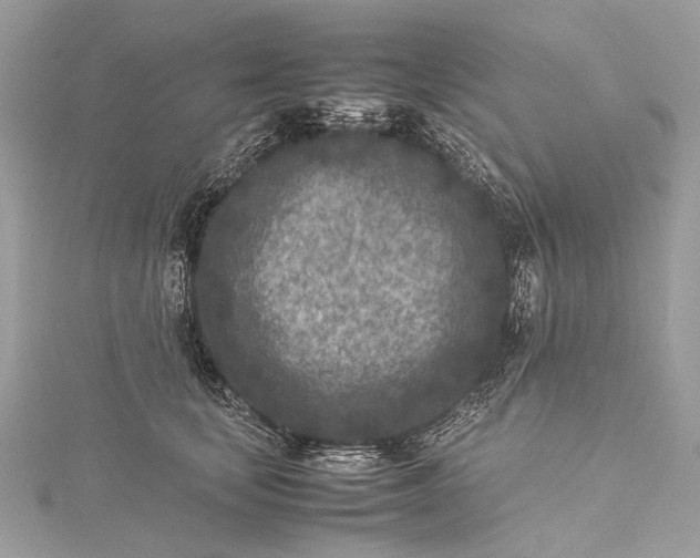 X0000115540659200911201740