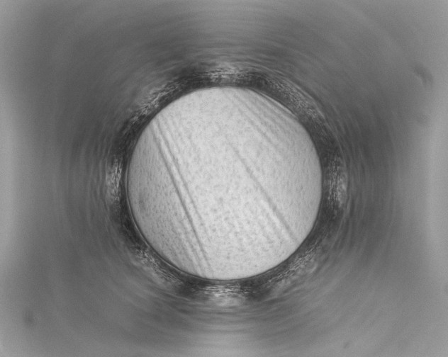 X0000115540660200911201740