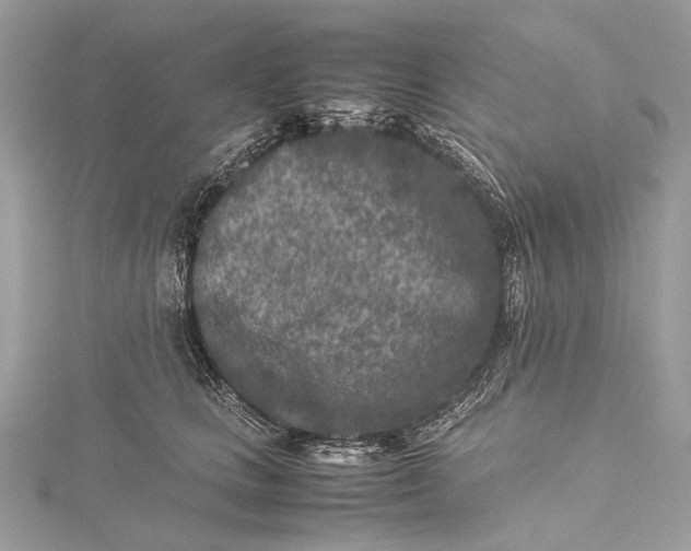 X0000115540661200911201740