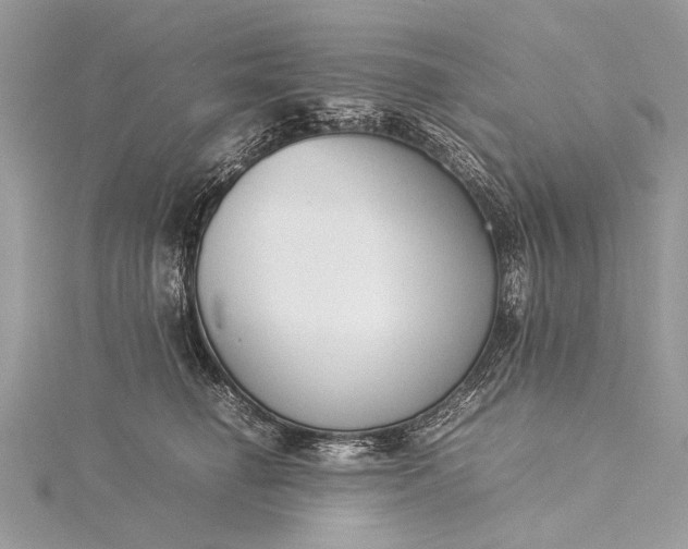 X0000115540662200911201741