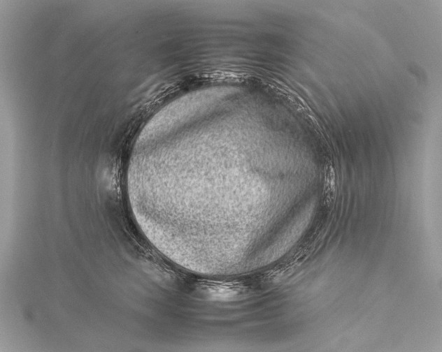 X0000115540663200911201741