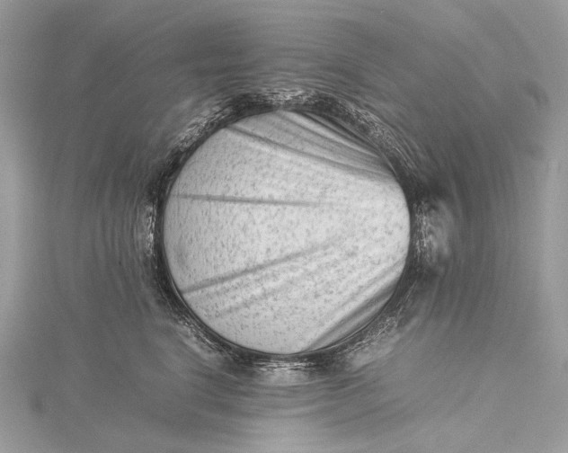 X0000115540664200911201741