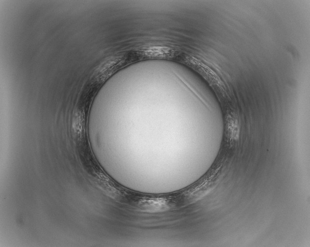 X0000115540665200911201741