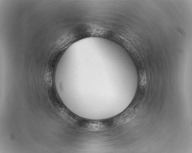 X0000115540666200911201741