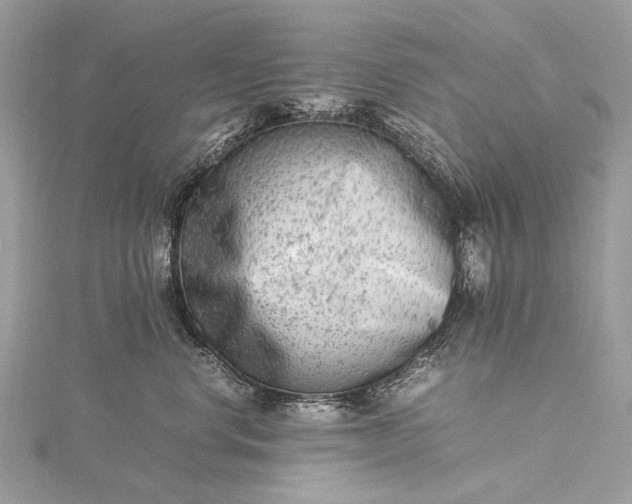 X0000115540668200911201741