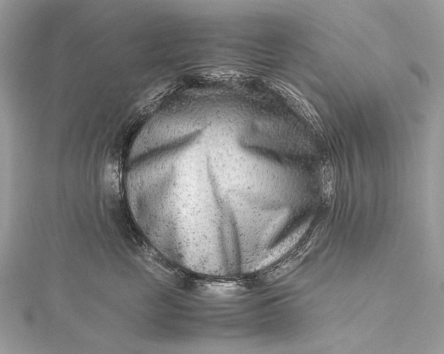 X0000115540669200911201741