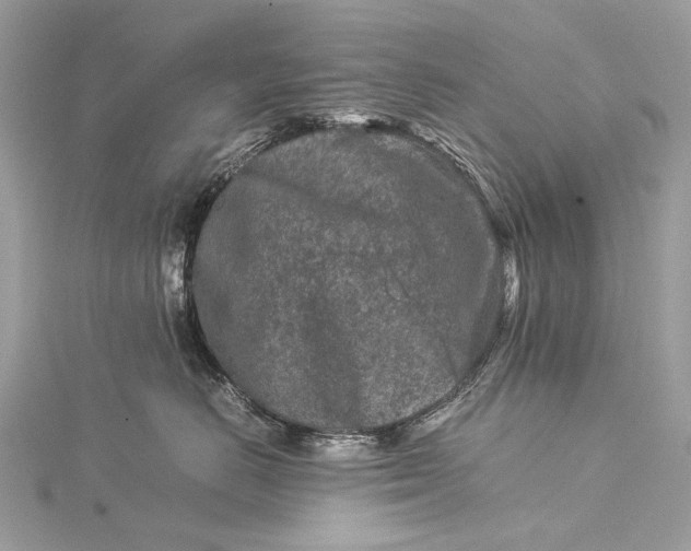 X0000115540670200911201741