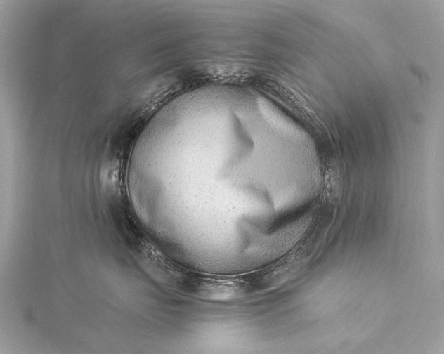 X0000115540671200911201741