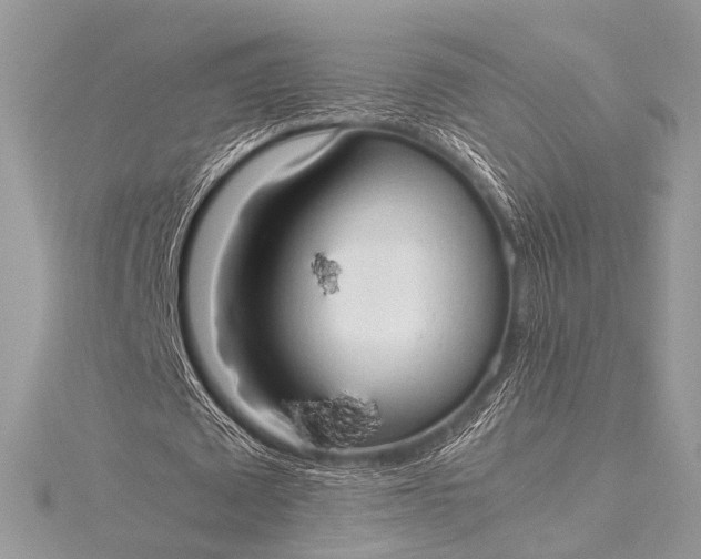 X0000115540673200911201740