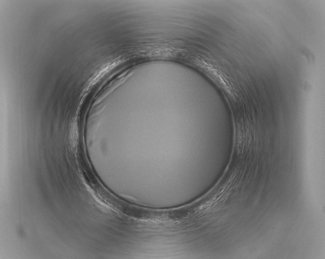 X0000115540674200911201740