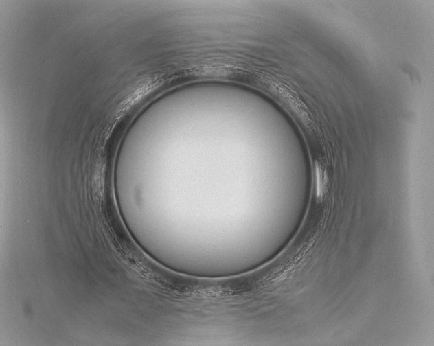 X0000115540675200911201740