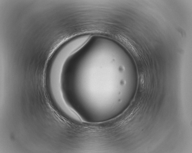 X0000115540676200911201740