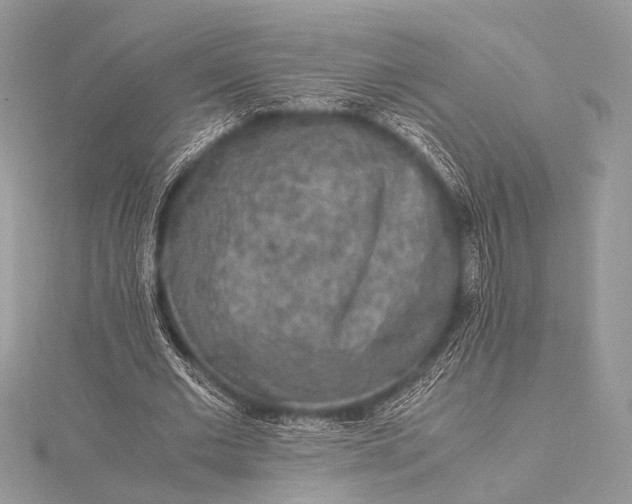 X0000115540677200911201740