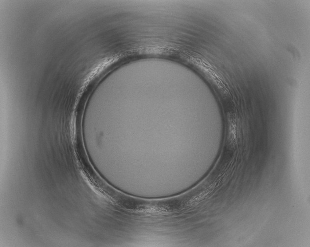 X0000115540678200911201740