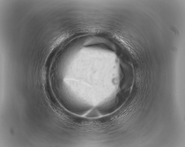 X0000115540679200911201740