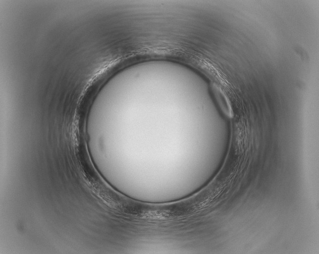 X0000115540680200911201740